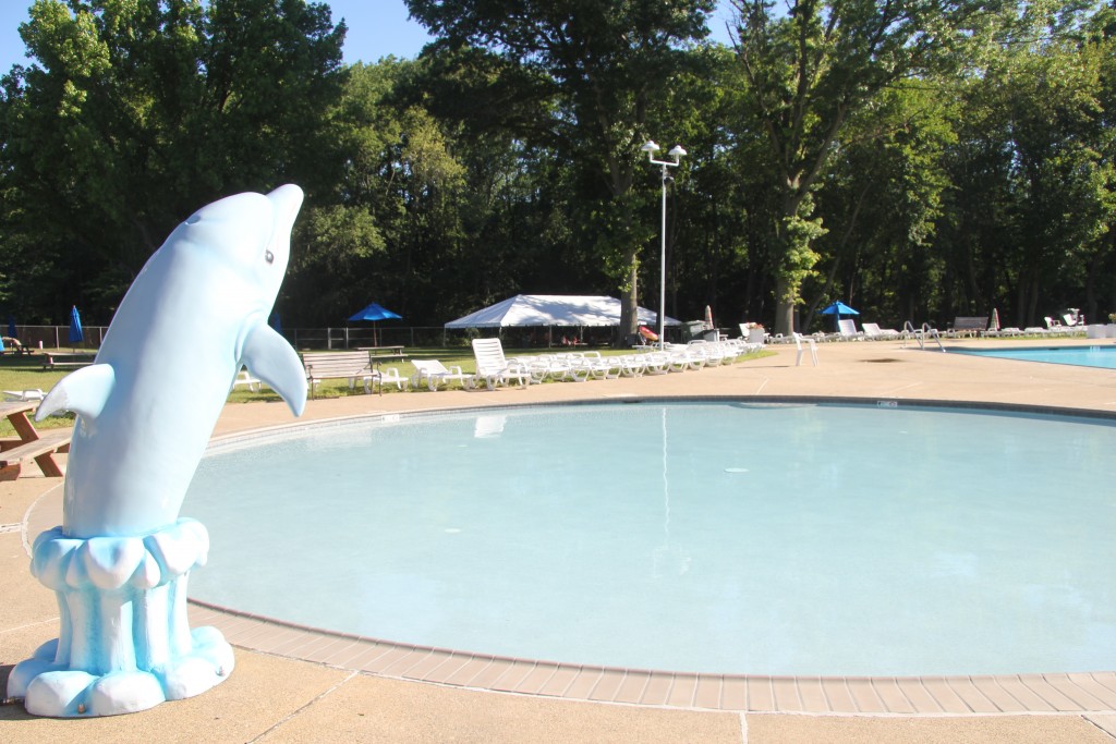 Dolphin Swim Club | Lower Southampton Township
